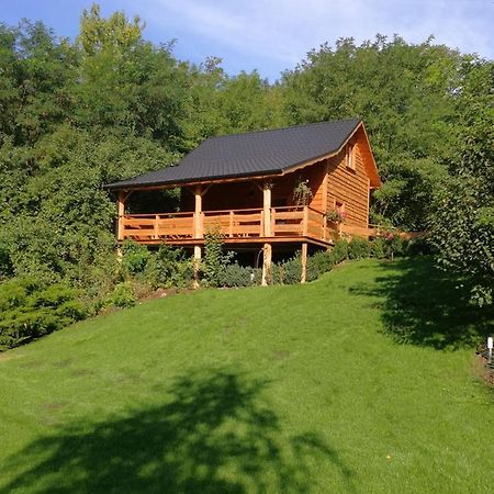 Villa Eden Ślesin 외부 사진