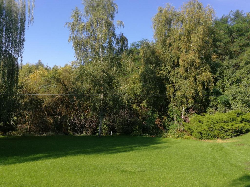 Villa Eden Ślesin 외부 사진