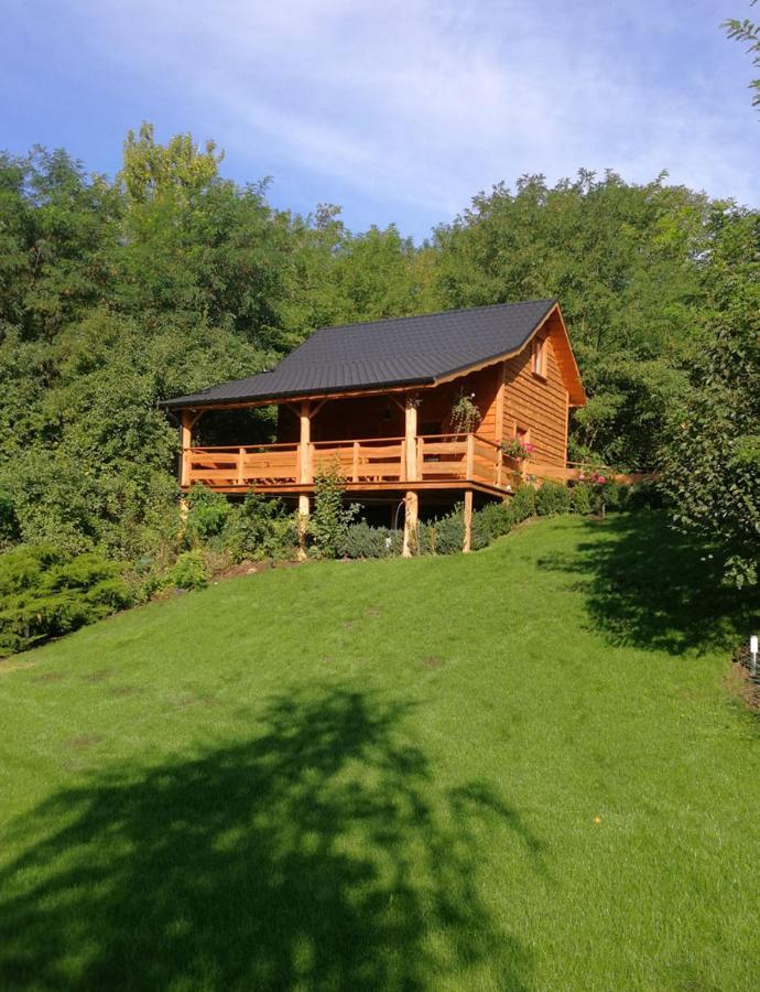 Villa Eden Ślesin 외부 사진