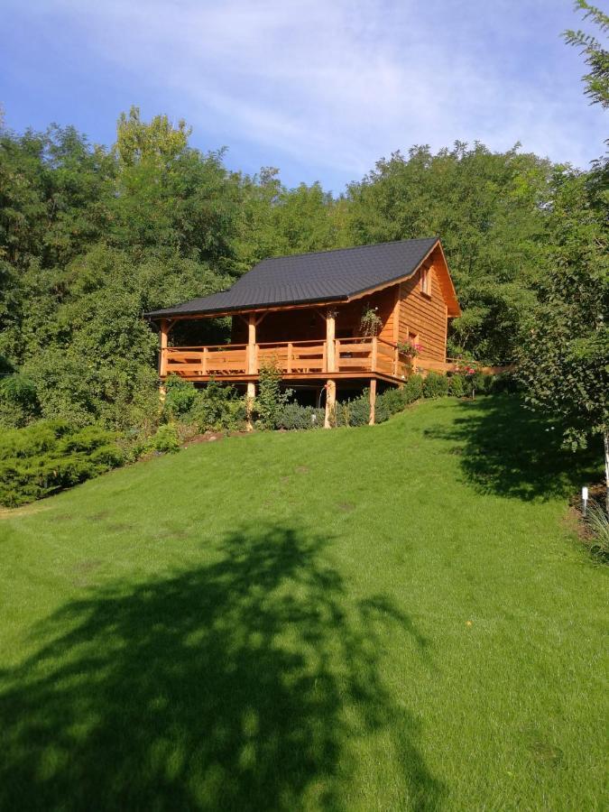 Villa Eden Ślesin 외부 사진