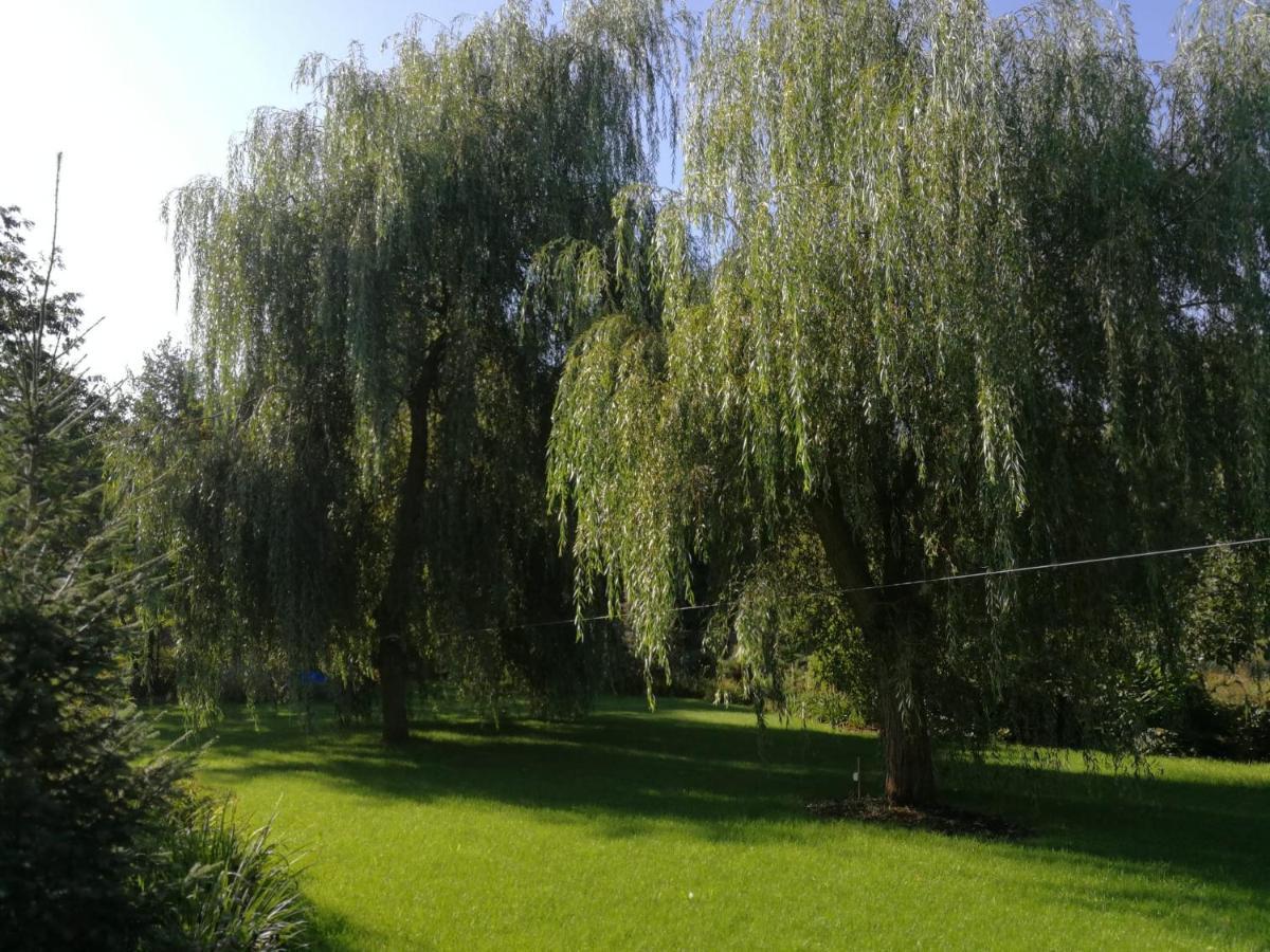 Villa Eden Ślesin 외부 사진